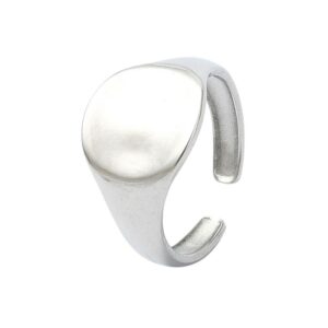 The Lucid Concave Signet Ring